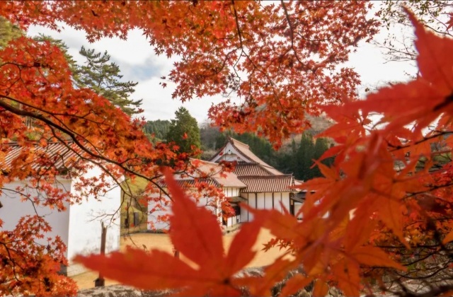 紅葉時期を迎える旧閑谷学校と池田家/ライトアップイベントも!